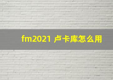 fm2021 卢卡库怎么用